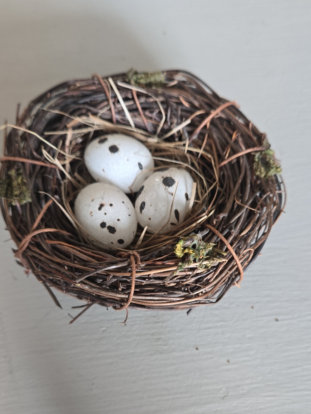 Decorative Bird Nest with Speckled Eggs - Brown and White Home Accent
